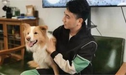 二狗爆料谢航视频大全最新,谢航视频大全背后的惊人真相